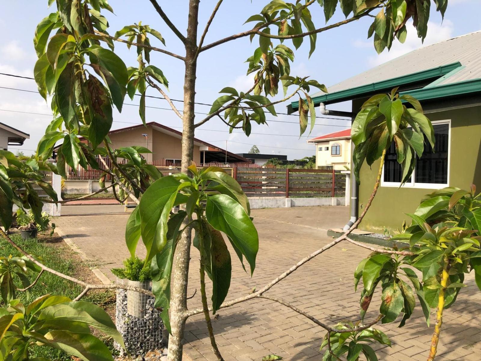 Grapefruitstraat Apartment Paramaribo Exterior foto